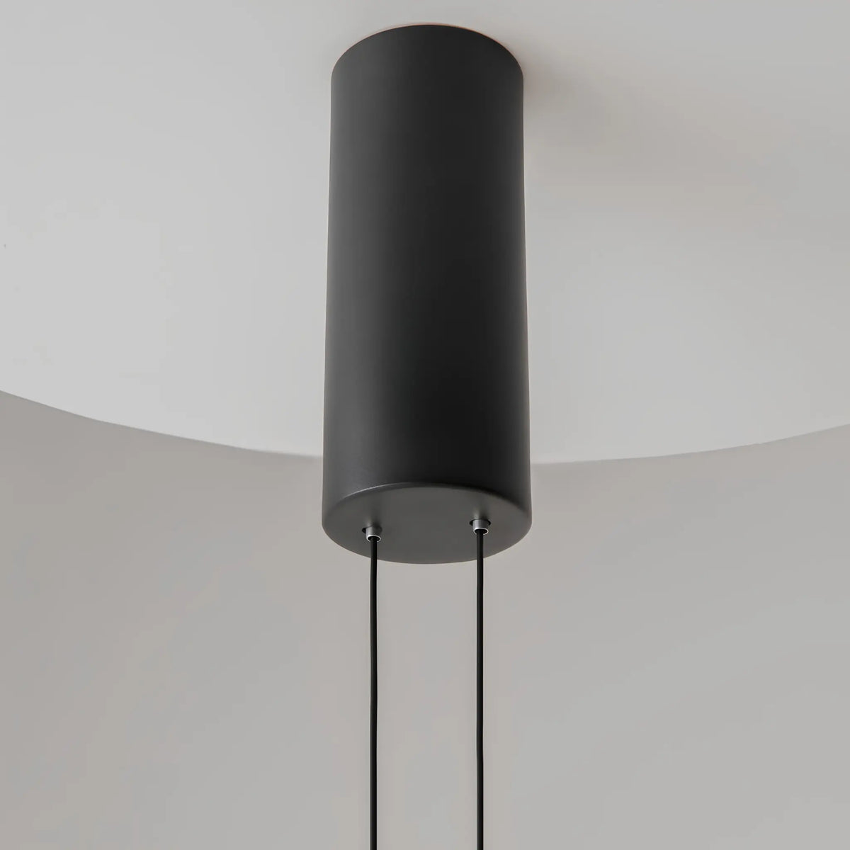 Maytoni Evolution Pendellampa, Svart