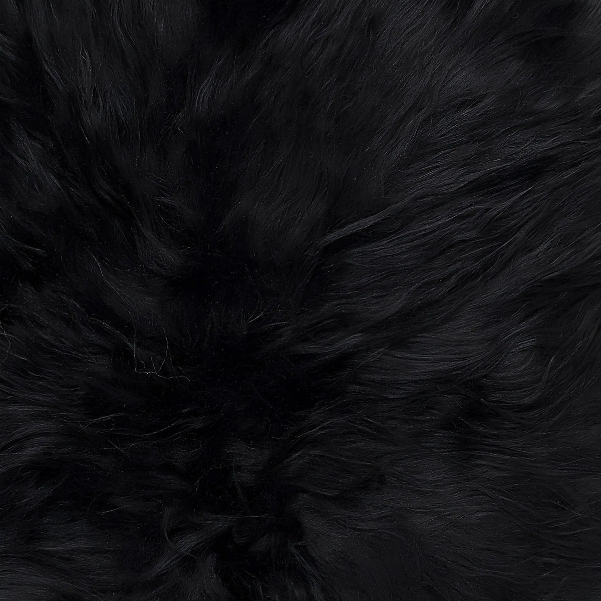 Skinnwille Molly Fårskinn 60x90 cm, Svart