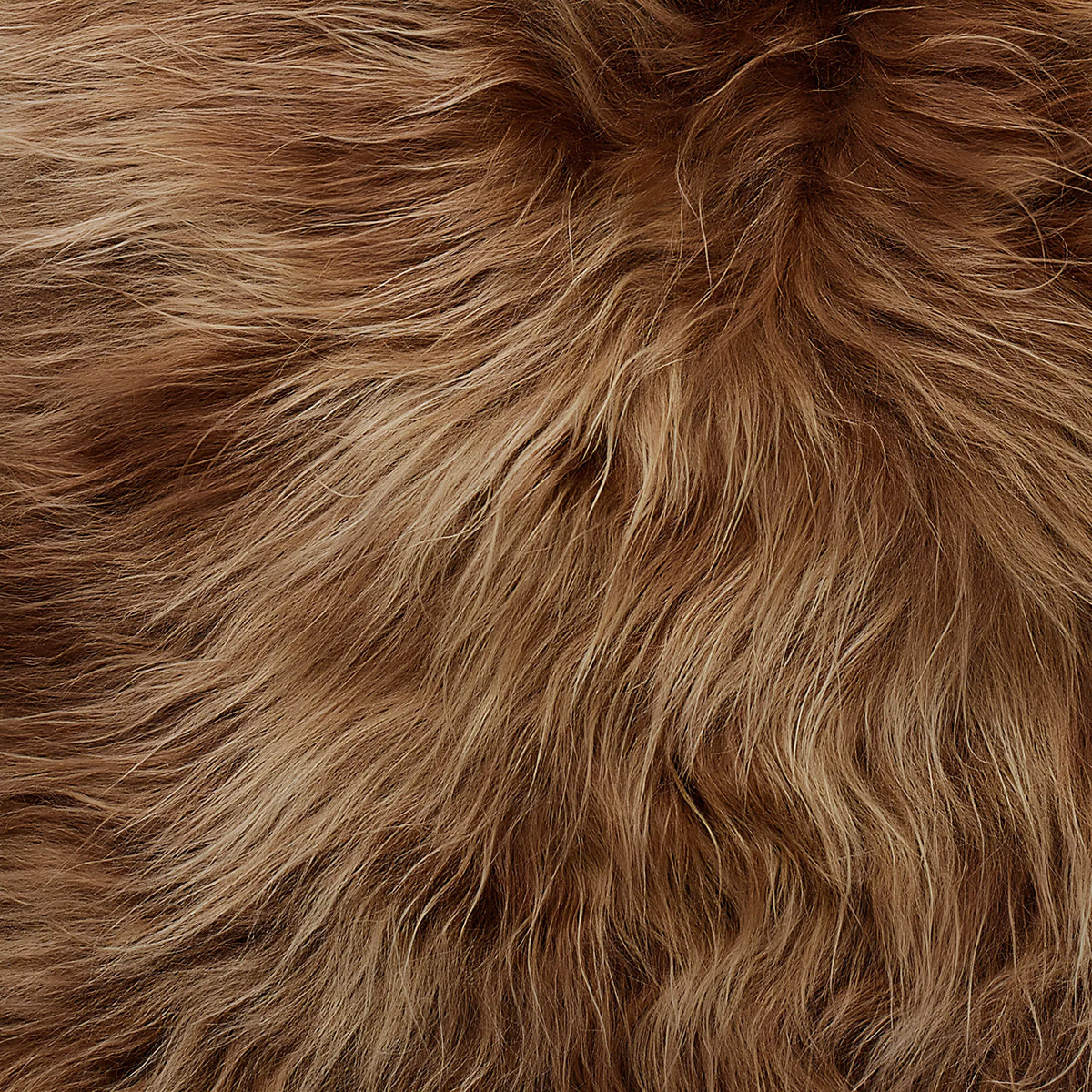 Skinnwille Molly Fårskinn 60x90 cm, Brun