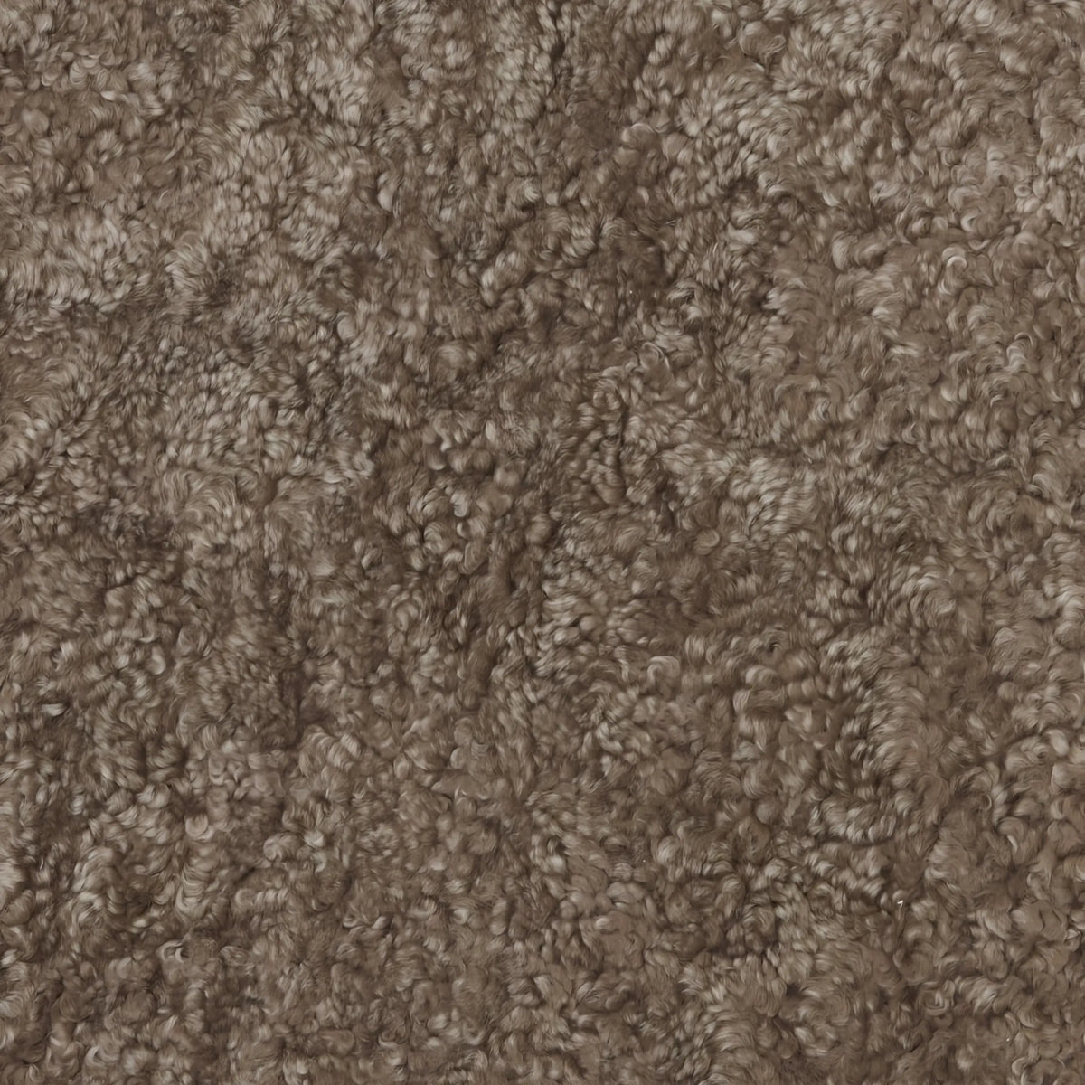 Skinnwille Curly Fårskinn 60x95 cm, Sahara