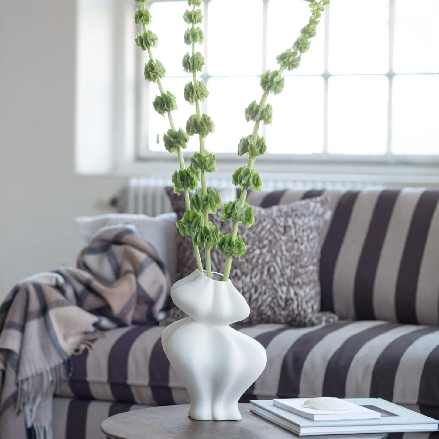 Mogihome, Formá 32 Vas, Creme