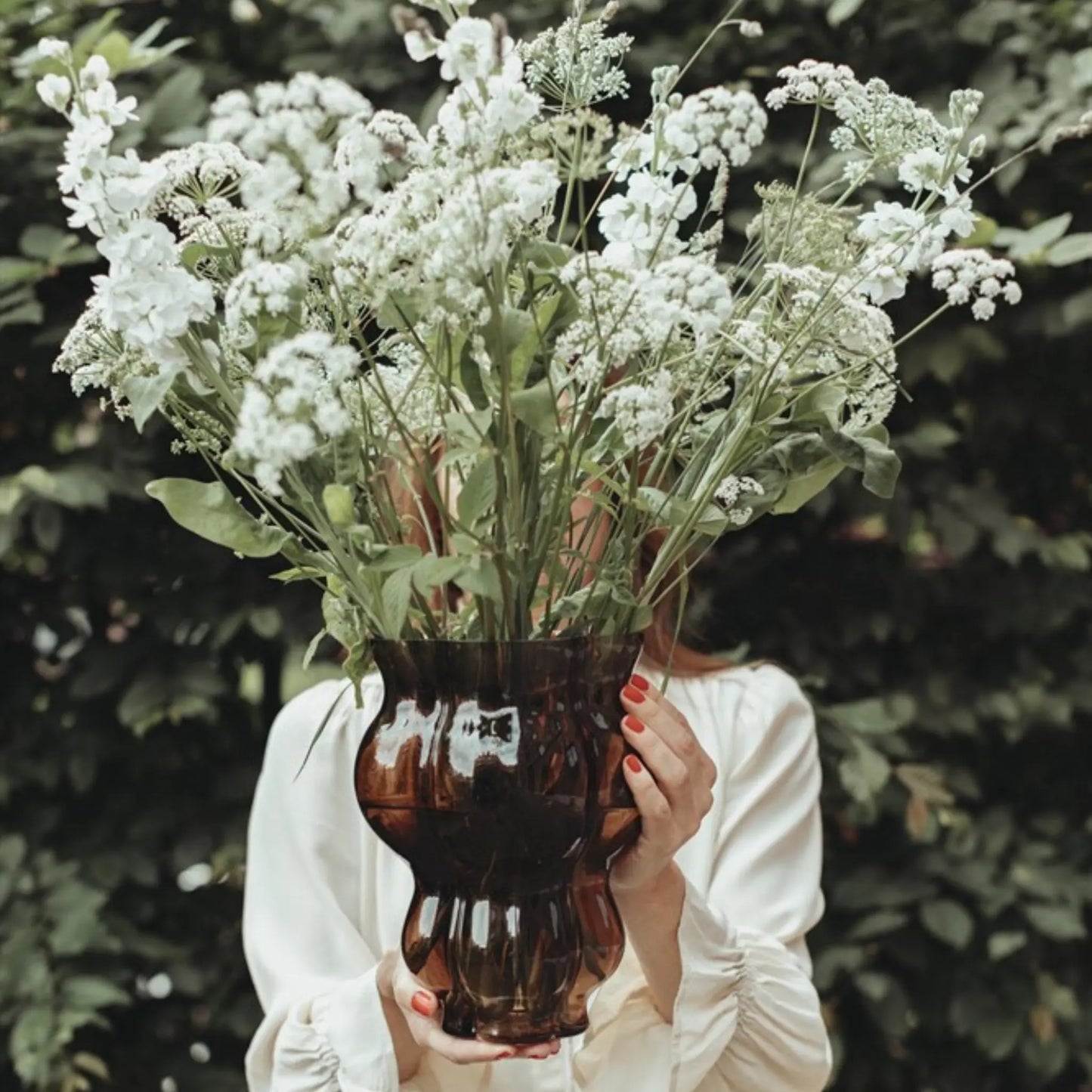 Mogihome, Bruno Vas, Brun