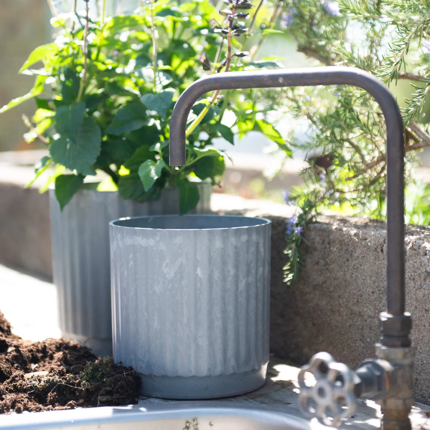 Wikholmform, Yodit Kruka 2/S, Gråmelerad