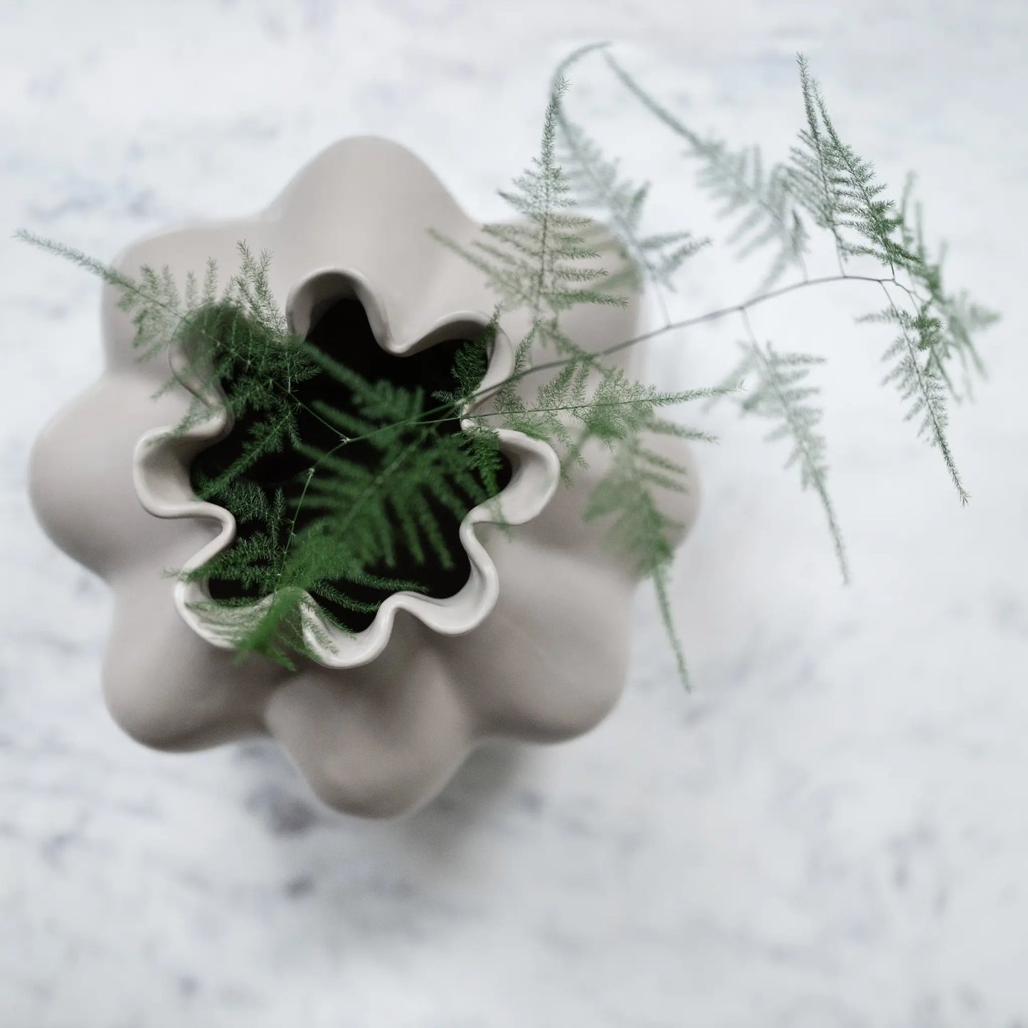 Wikholmform, Violet Vas L, Linne