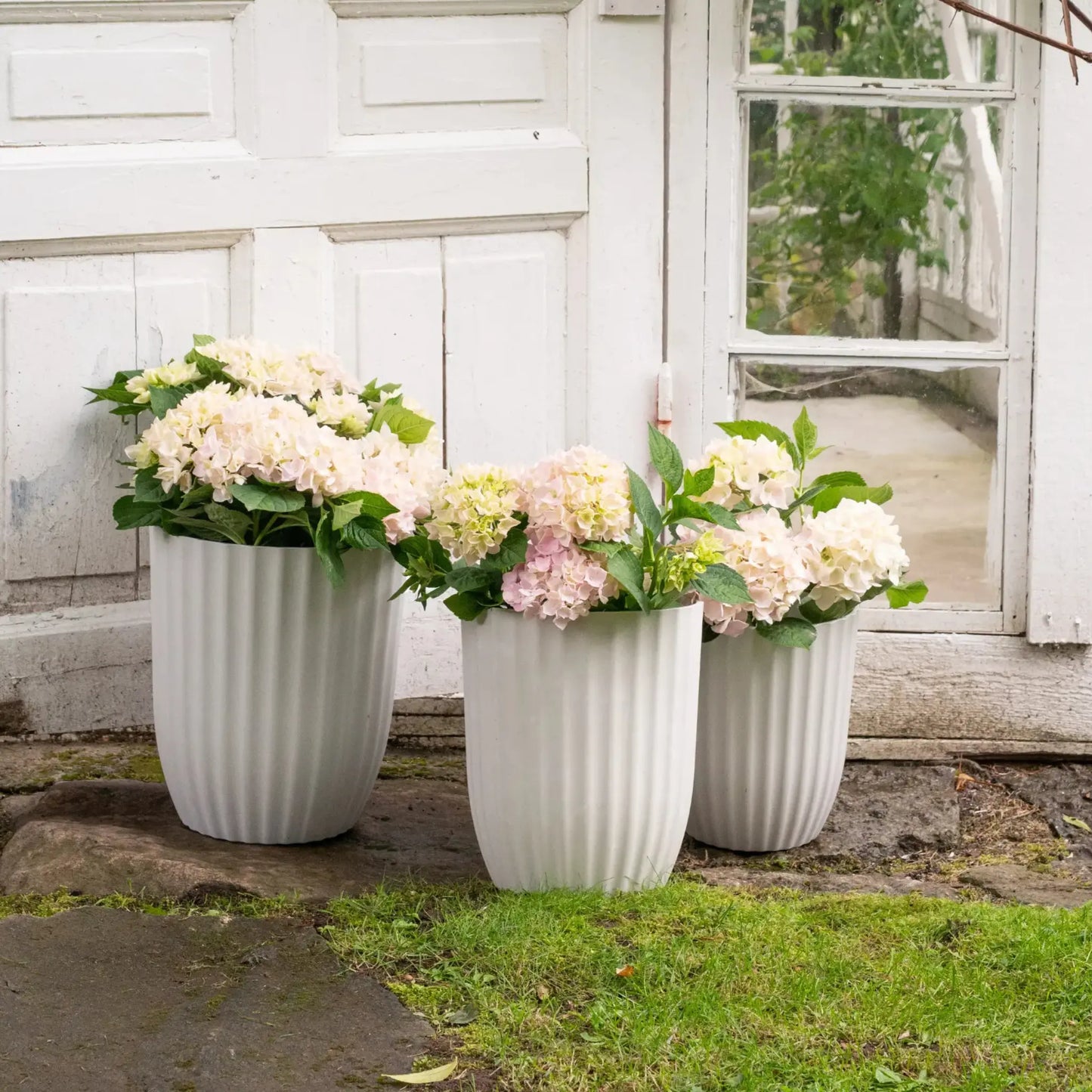 Wikholmform, Yodit Kruka 3/S, Vitmelerad