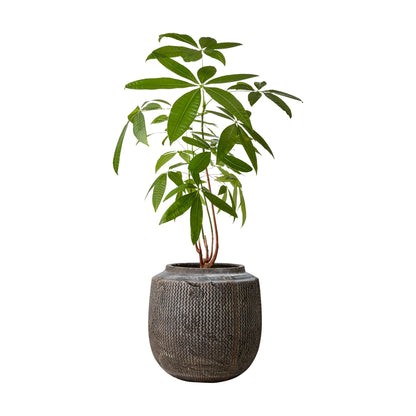 Affari of Sweden Cino Kruka M Ø28 cm, Brun
