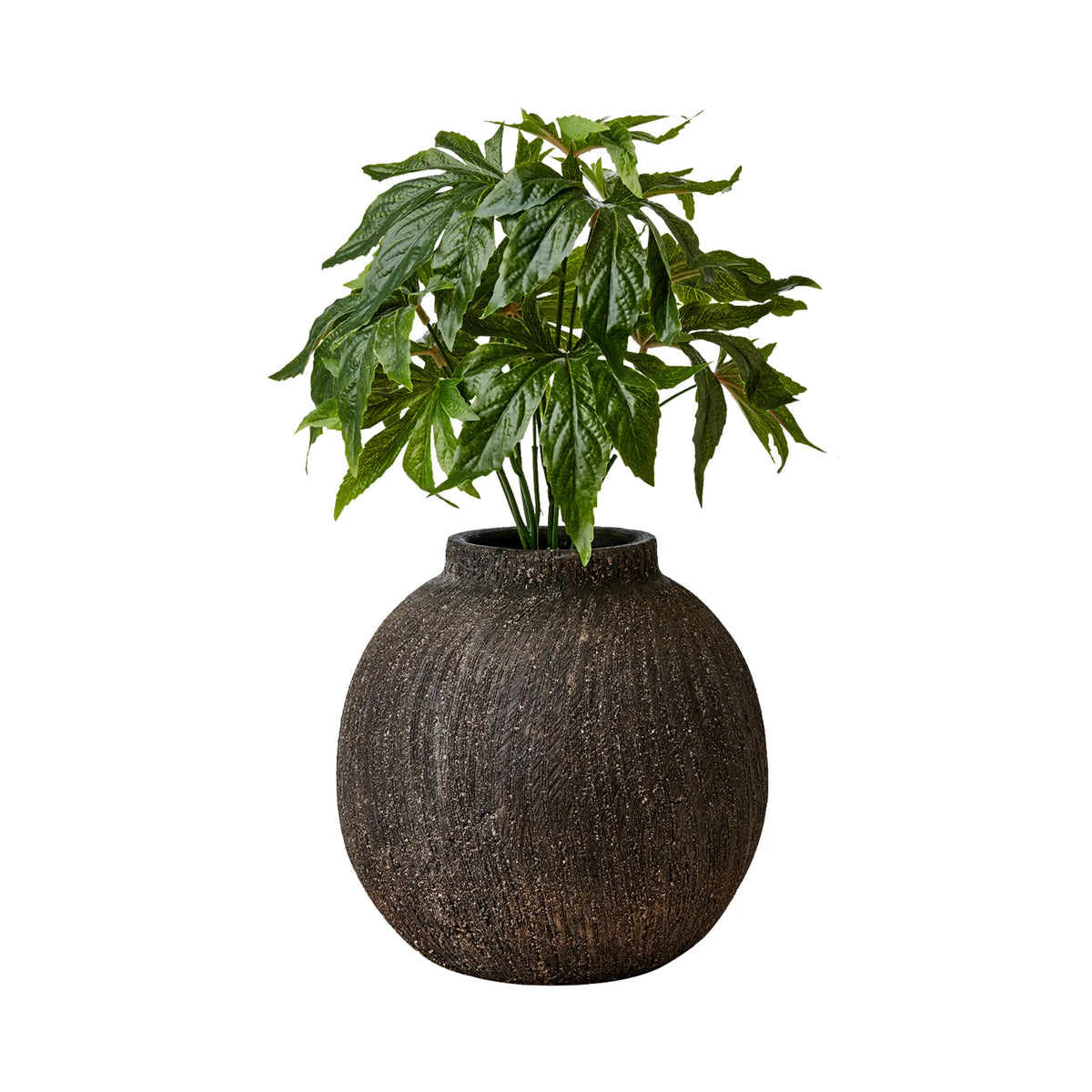 Affari of Sweden Cino Kruka Ø23 cm, Brun