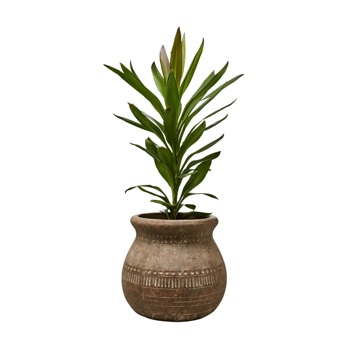 Affari of Sweden Camille Kruka M Ø18/32 cm, Beige