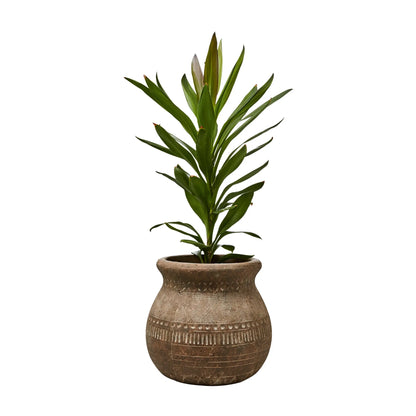 Affari of Sweden Camille Kruka M Ø18/32 cm, Beige
