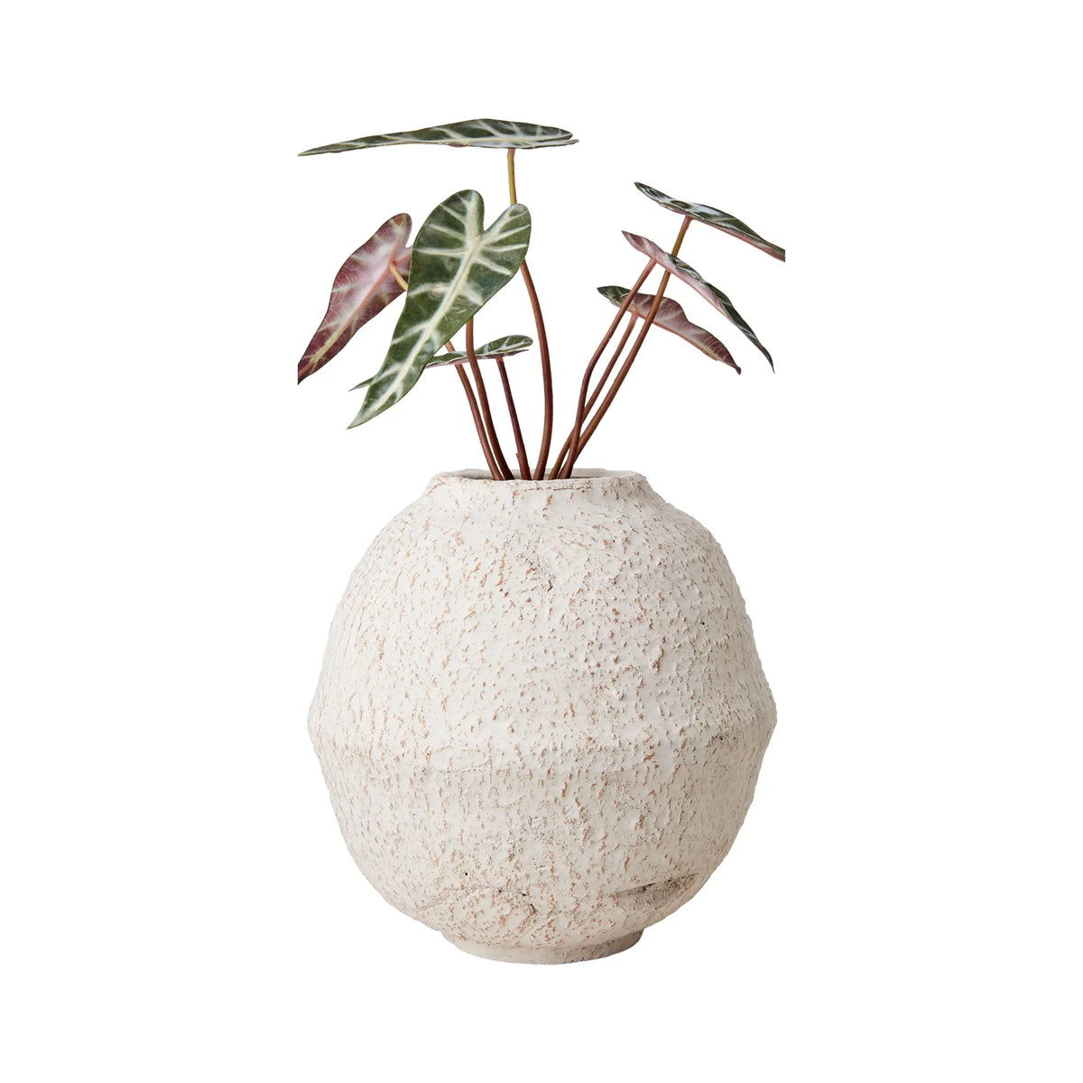 Affari of Sweden Cream Kruka Ø24 cm, Elfenben