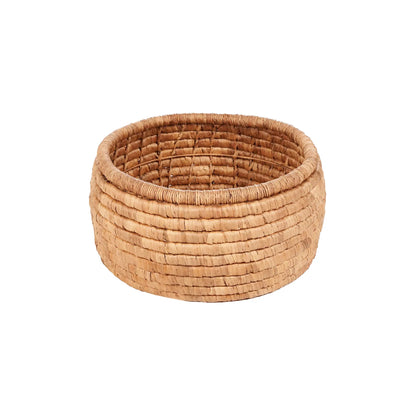 Bazar Bizar The Sarvatah Korg, Natur