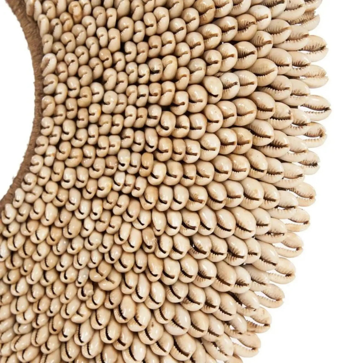 Bazar Bizar The Shell Réunion Dekoration på stativ, Natur
