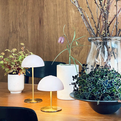Dyberg Larsen Along Bordslampa 2-pack, Beige/Mässing