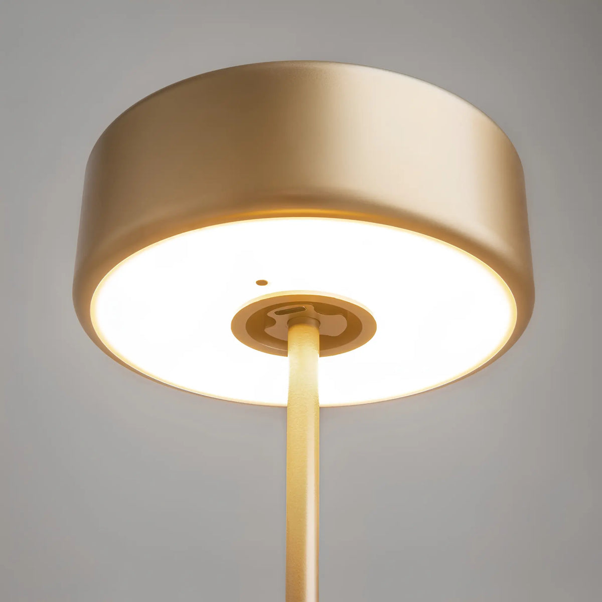 Maytoni AI Collaboration Bordslampa, Guld