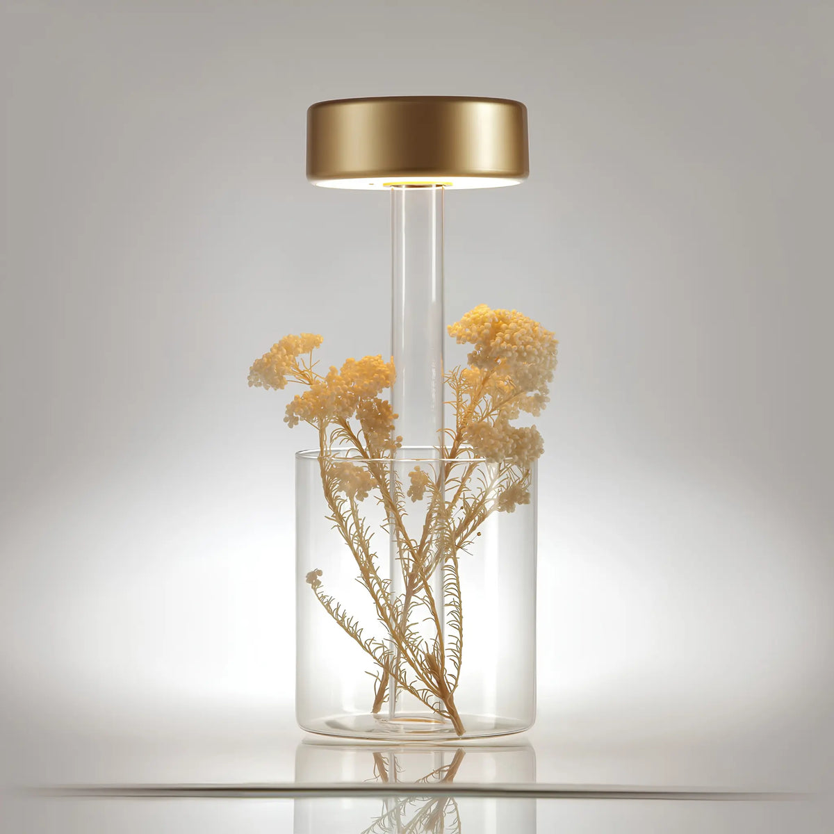 Maytoni AI Collaboration Bordslampa, Transparent