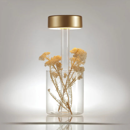 Maytoni AI Collaboration Bordslampa, Transparent