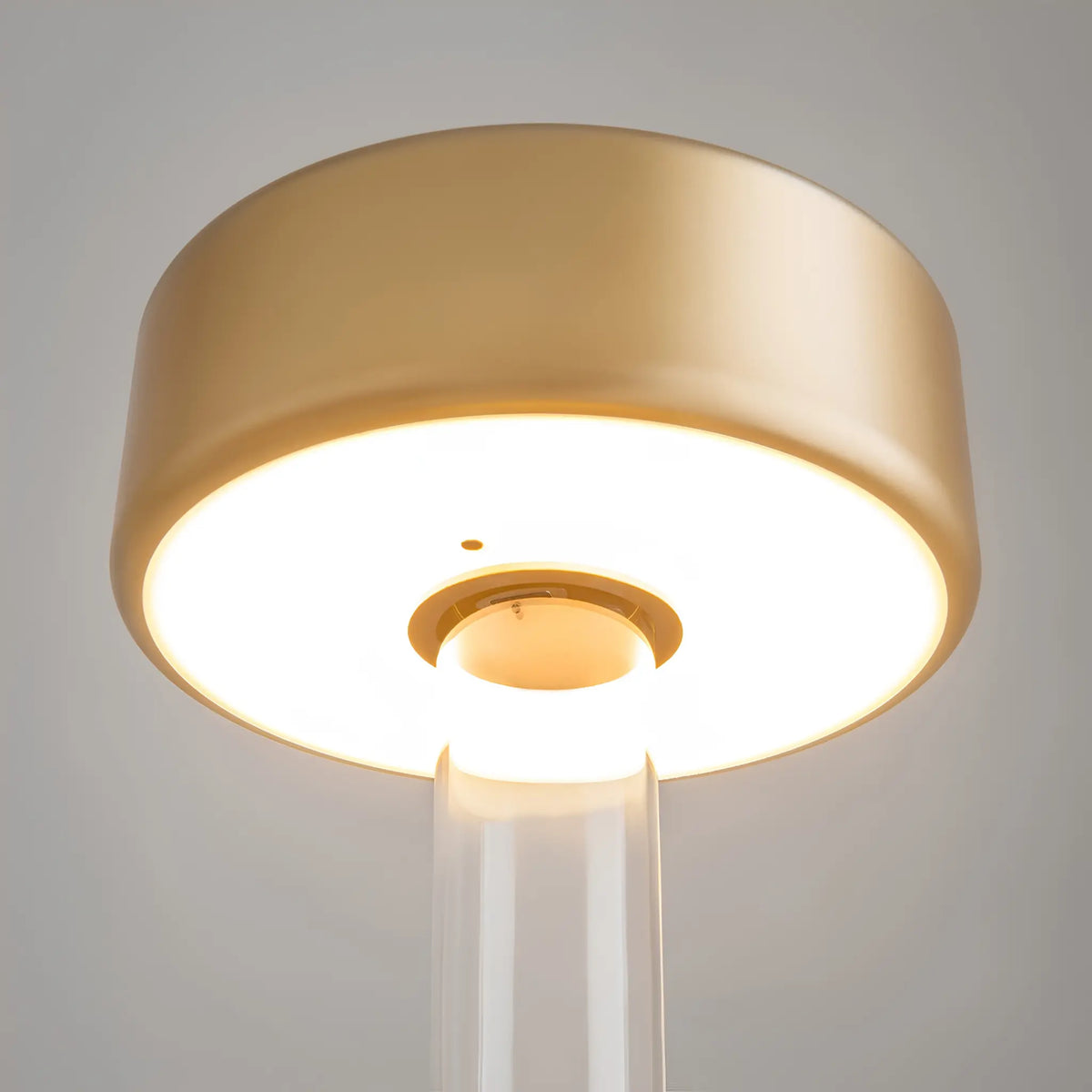 Maytoni AI Collaboration Bordslampa, Transparent