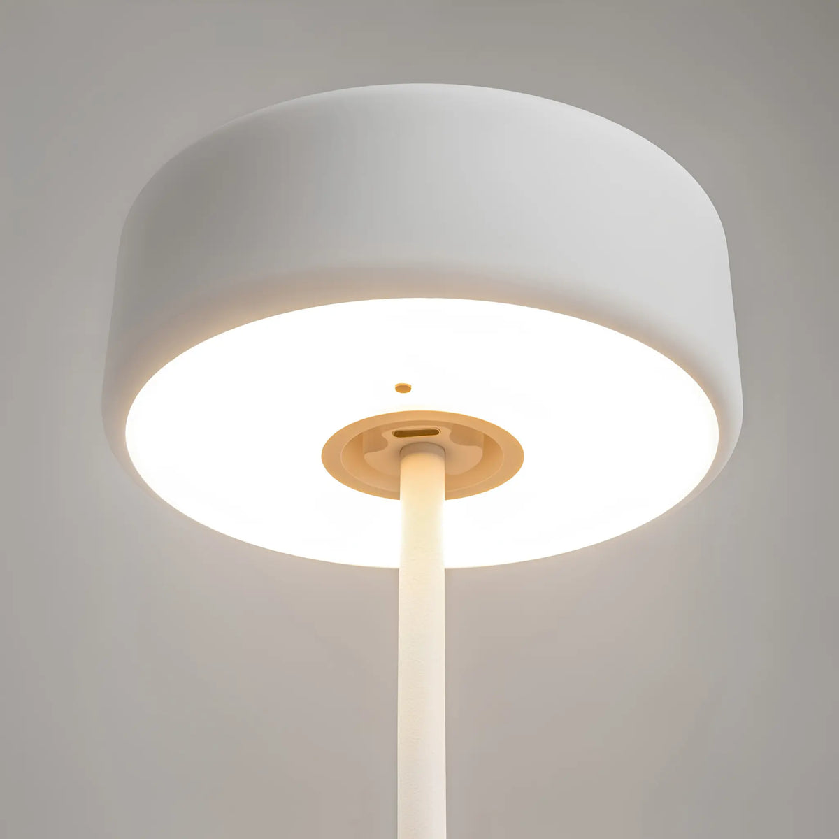Maytoni AI Collaboration Bordslampa, Vit