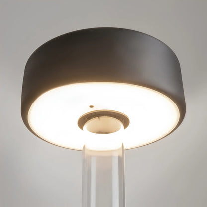 Maytoni AI Collaboration Bordslampa, Transparent