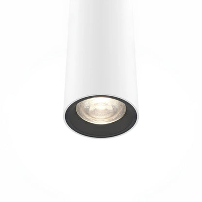 Maytoni Pro Extra Pendellampa, Vit