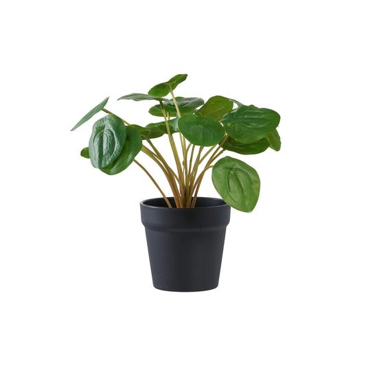 House Nordic, Pelia, Grön