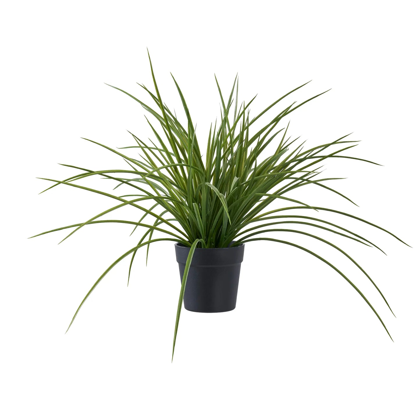 House Nordic, Gräs, Grön