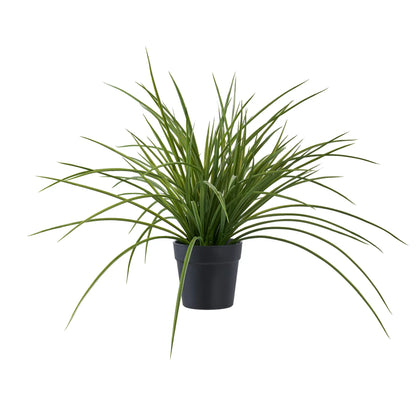 House Nordic, Gräs, Grön