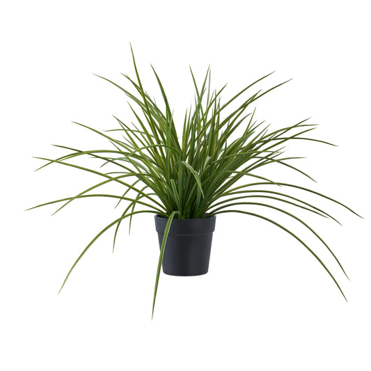 House Nordic, Gräs, Grön