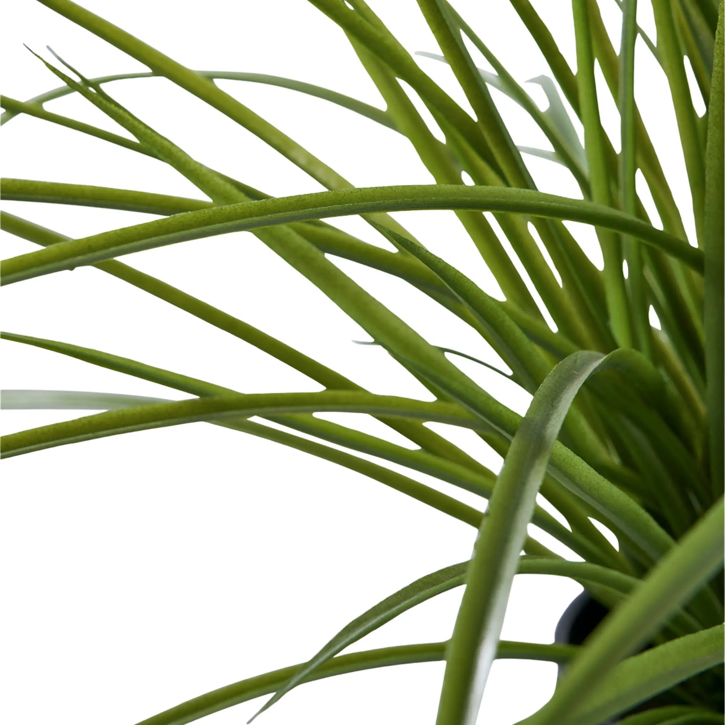 House Nordic, Gräs, Grön