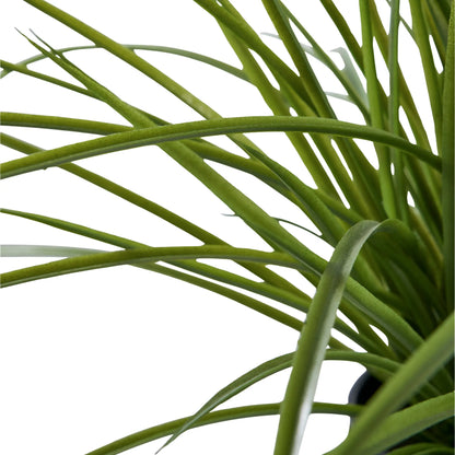 House Nordic, Gräs, Grön