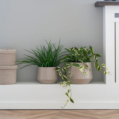 House Nordic, Gräs, Grön