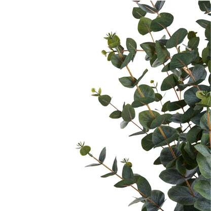 House Nordic, Eucalyptus Träd, Grön