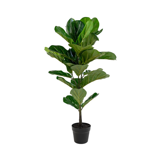 House Nordic, Fiolfikus Träd, Grön