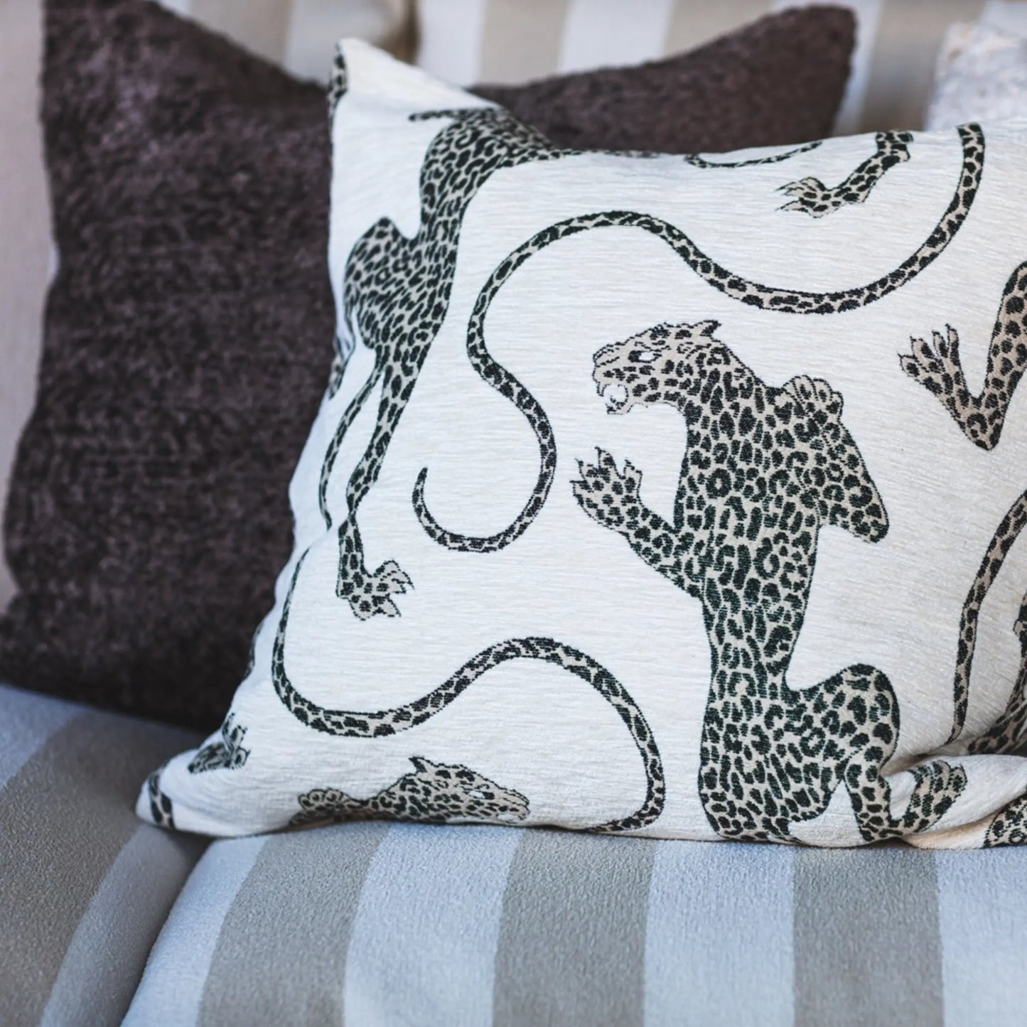 Mogihome, Patsy Kuddfodral, Creme