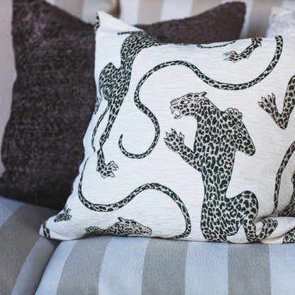 Mogihome, Patsy Kuddfodral, Creme