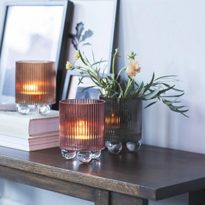 Mogihome, Bobo Ljuslykta, Brun