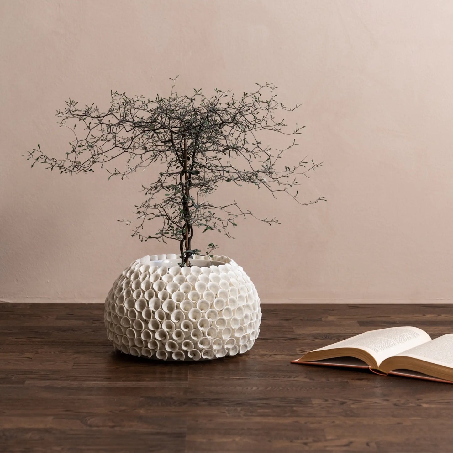 Mogihome, Shelly Vas, Creme