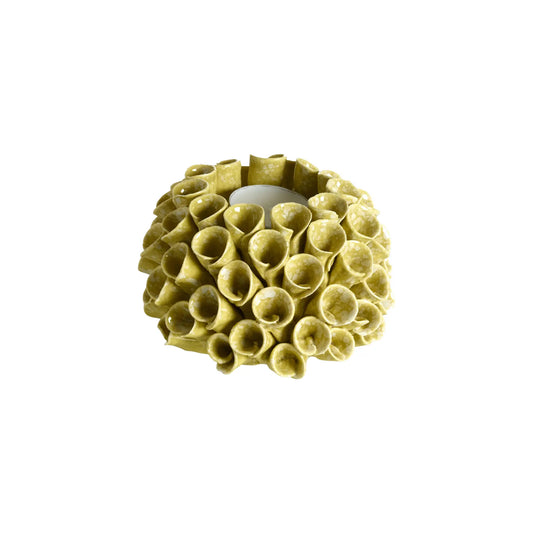 Mogihome, Shelly Ljuslykta, Lime