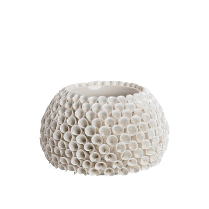 Mogihome, Shelly Vas, Creme