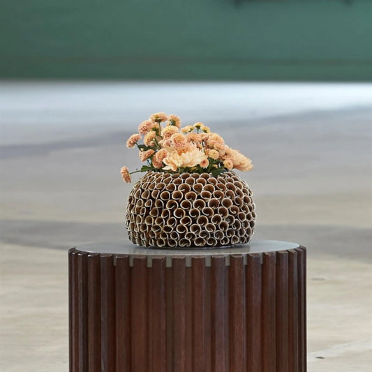 Mogihome, Shelly Vas, Brun-Silvra Home