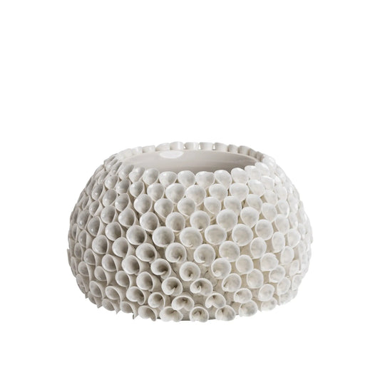 Mogihome, Shelly Vas Mindre, Creme