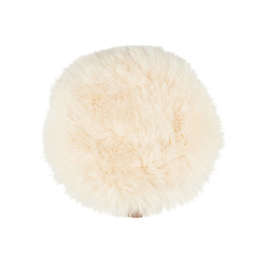 Shepherd of Sweden, Molly Stolsdyna Långhårig, Rund Champagne