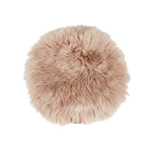 Shepherd of Sweden, Molly Stolsdyna Långhårig, Rund Camel