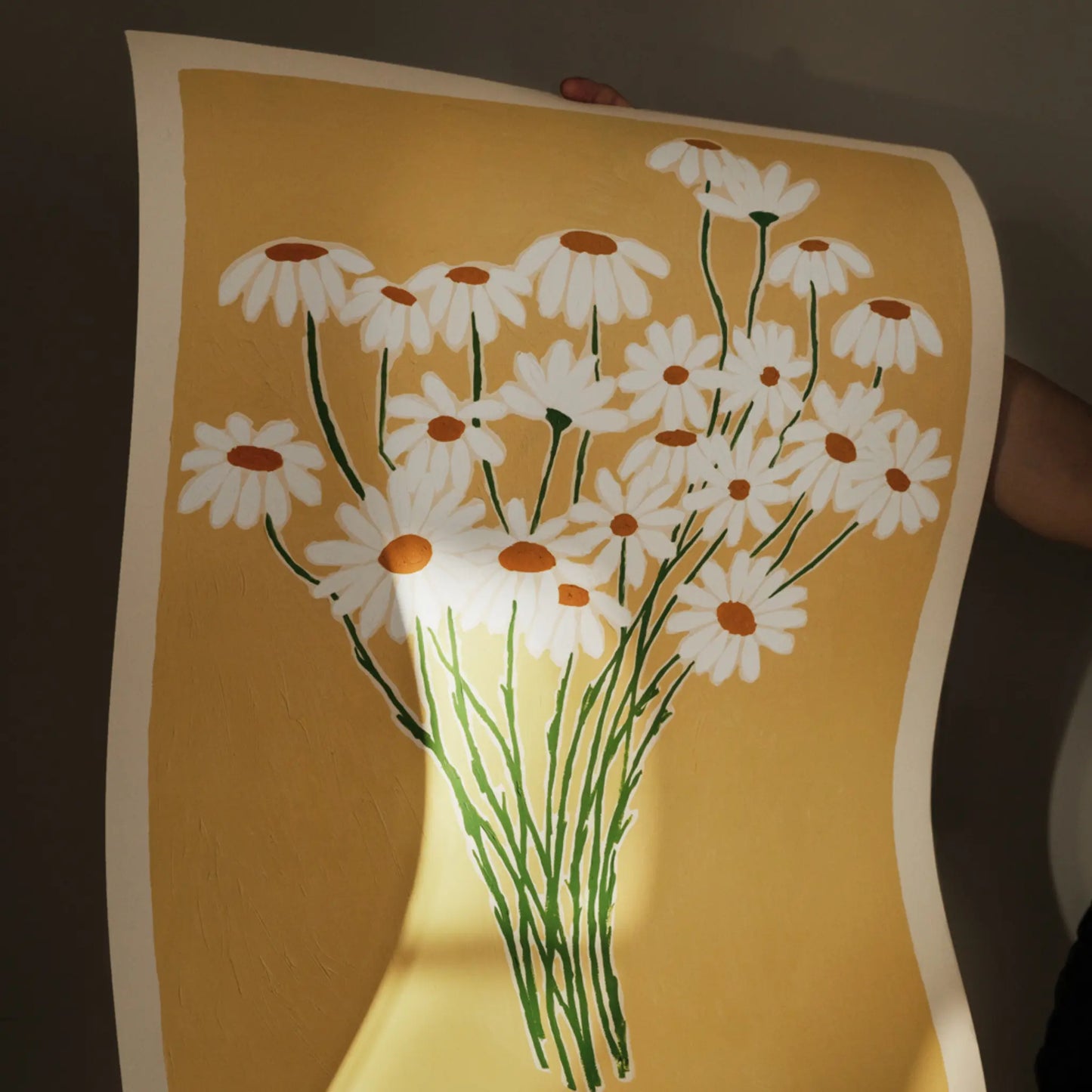 The Poster Club Daisies Poster 50x70