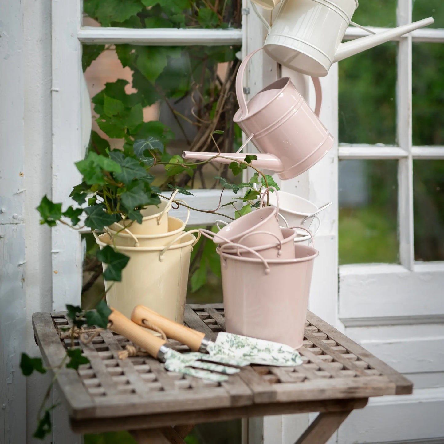 Wikholmform, Alina Vattenkanna, Rosa